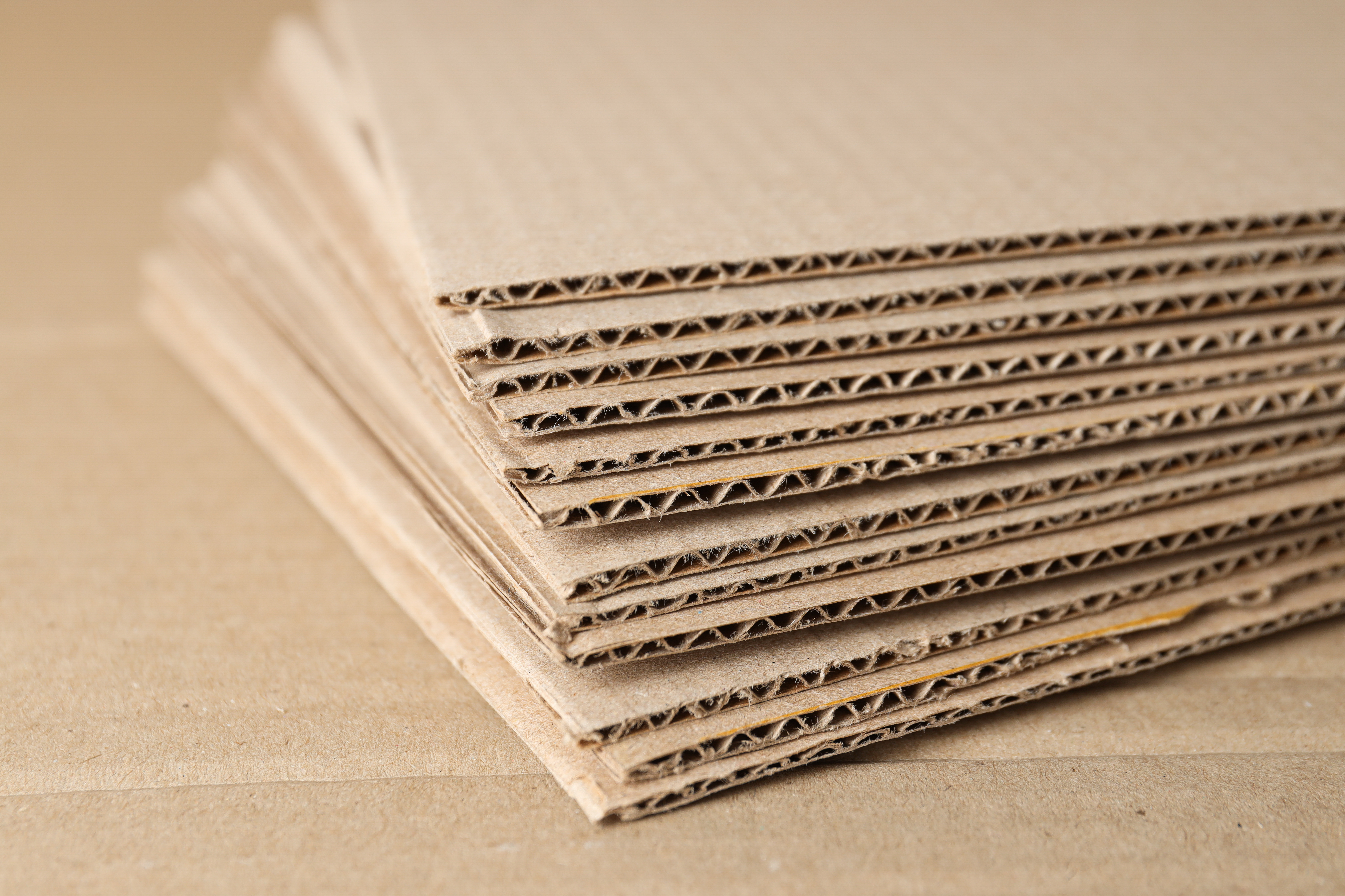 ¡Somos Portada en Revista Líder Empresarial Querétaro! Reconocimiento a nuestro trabajo y profesionalismo